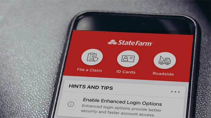 State Farm auto insurance for new drivers