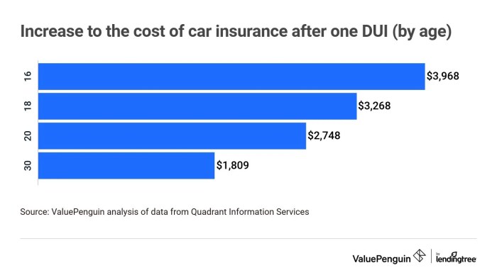 State Farm premium car insurance after DUI