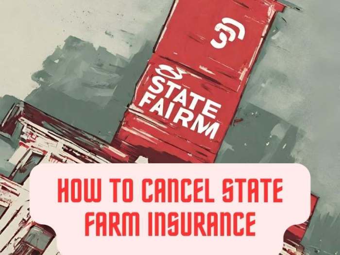 State Farm non-owner car insurance policy