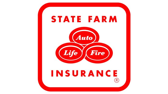 State Farm luxury car insurance policy