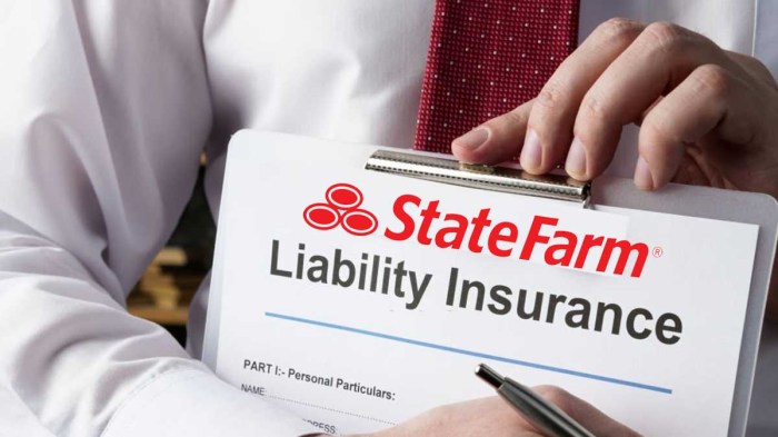 State Farm liability and collision coverage