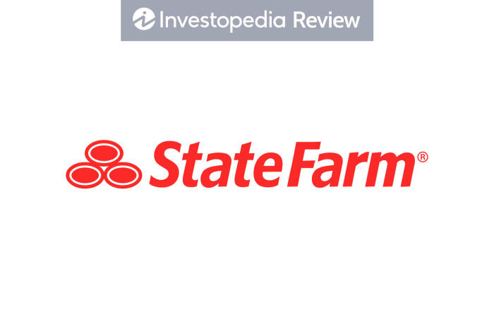 State Farm hybrid and electric car insurance